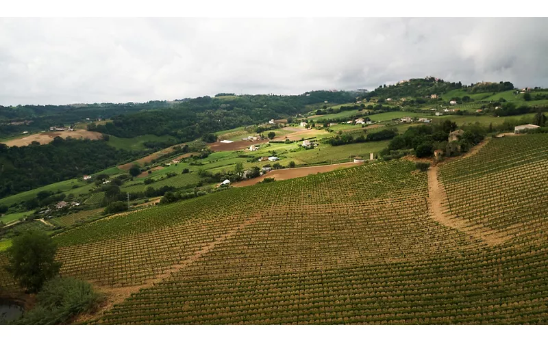  Loro Piceno: The home of Vino cotto