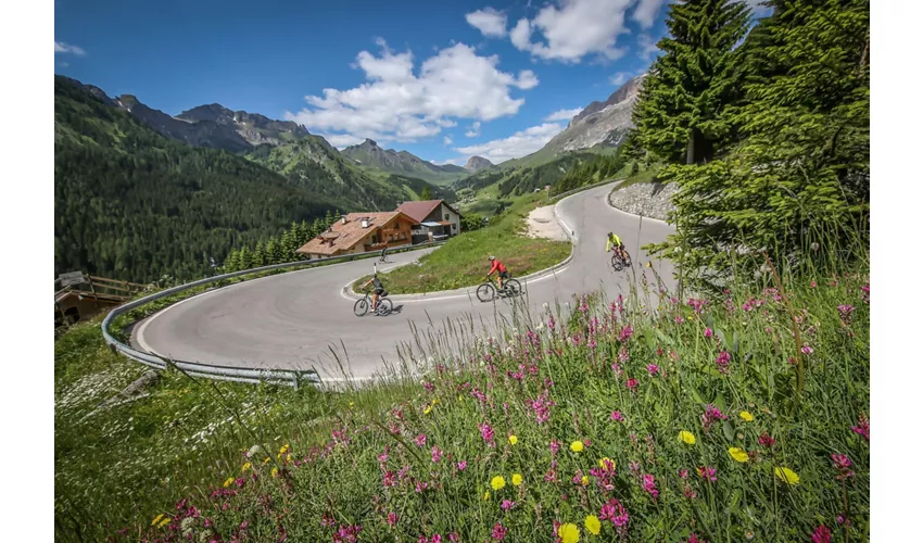 Passo Campolongo