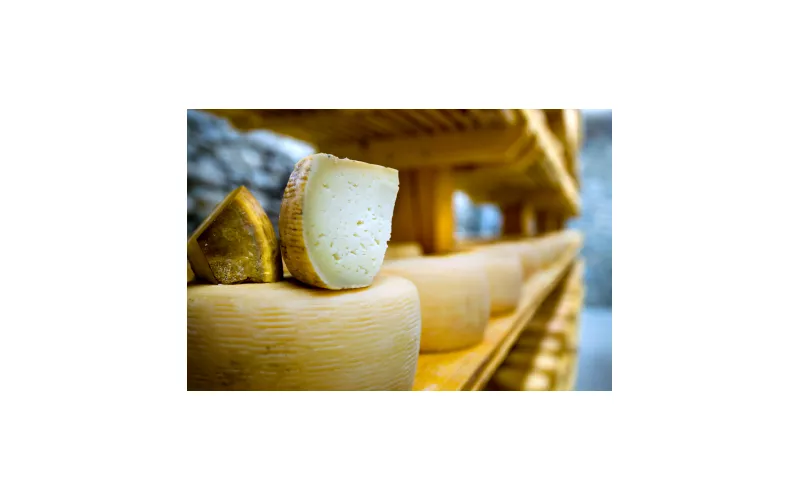 Pecorino di Farindola and the know-how of dairy women