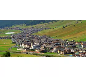 (Ph: in-lombardia_adobestock)
