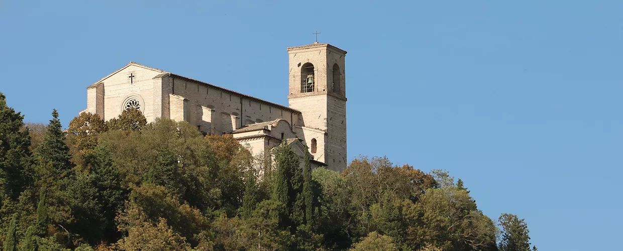 Collegiata di S. Pietro