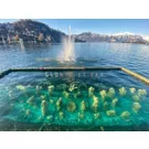 Presepe Sommerso - Laveno - Lago Maggiore