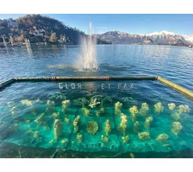 Presepe Sommerso - Laveno - Lago Maggiore