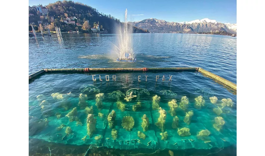 Presepe Sommerso - Laveno - Lago Maggiore