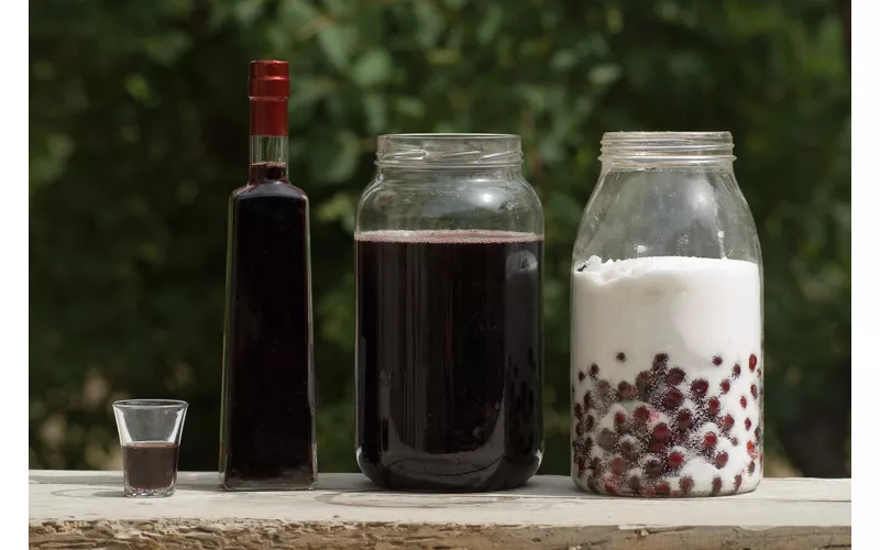 Dolci e tradizioni costiere