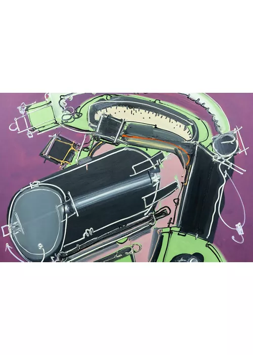 ravenna-mattia-moreni-regressione-della-specie