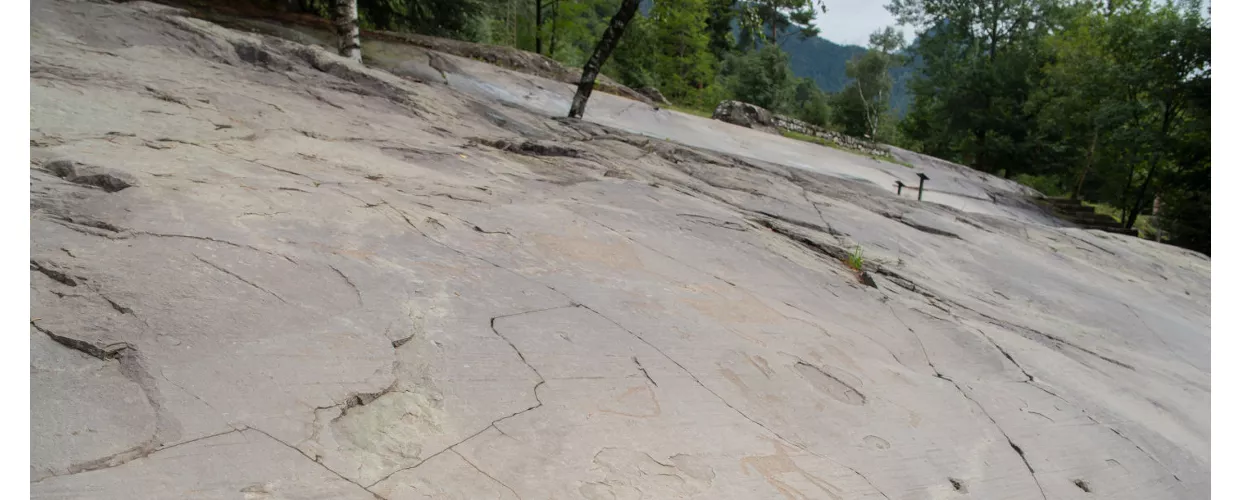 Run Aragosta la Camminata  Valle dei Segni 2026