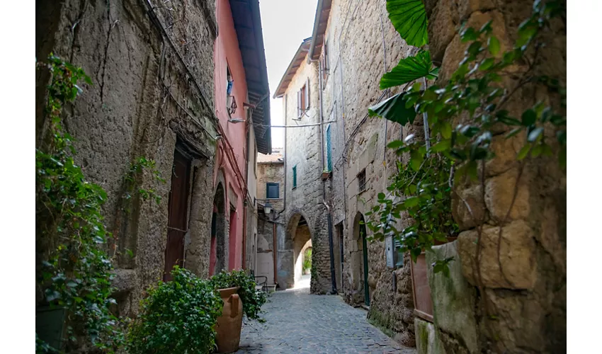 Sacrofano
