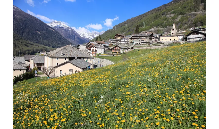 Saint-Oyen