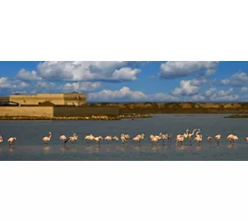 Oasi naturale del Lago Salso