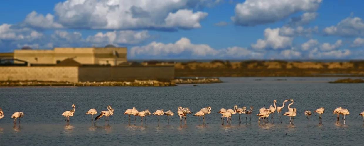 Oasi naturale del Lago Salso