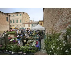 saludecio-salus-erbe-CC BY NC SA 3.0