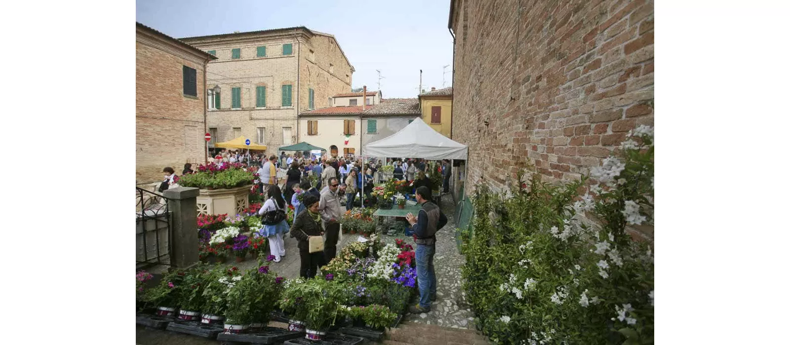 saludecio-salus-erbe-CC BY NC SA 3.0