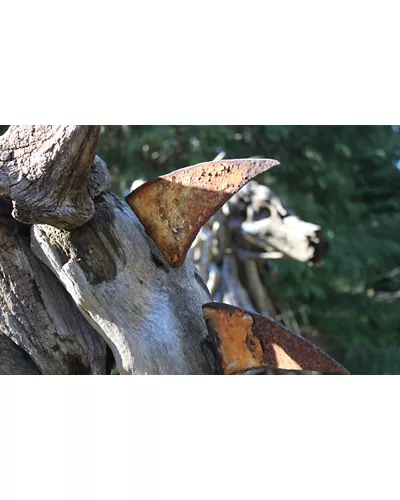 San Benedetto Val di Sambro