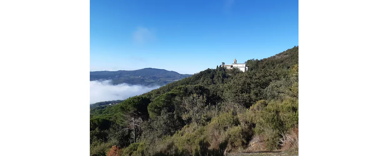 Santa Brigida