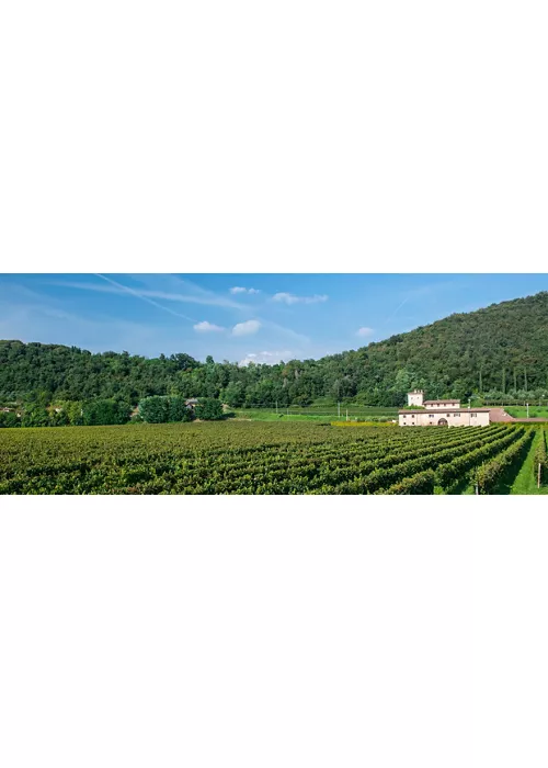 Aromen der Lombardei: 5 kulinarische Erlebnisse 