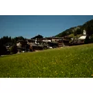 sauris-in-festa