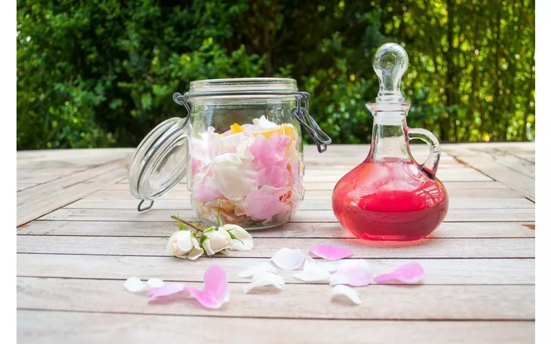 Sciroppo di rose 
