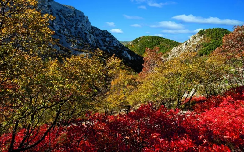 El Karst, naturaleza en estado puro