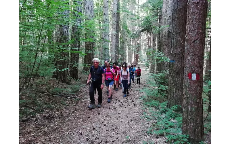 Ariola di Gerocarne: what to see in the surrounding area