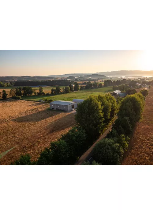 La carne di razza Podolica Calabrese, Presidio Slow Food