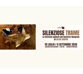 Silenziose Trame