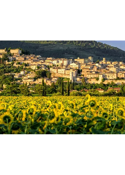 Spello