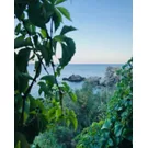 Tour dei Luoghi di Cassiodoro in Calabria