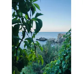 Tour dei Luoghi di Cassiodoro in Calabria