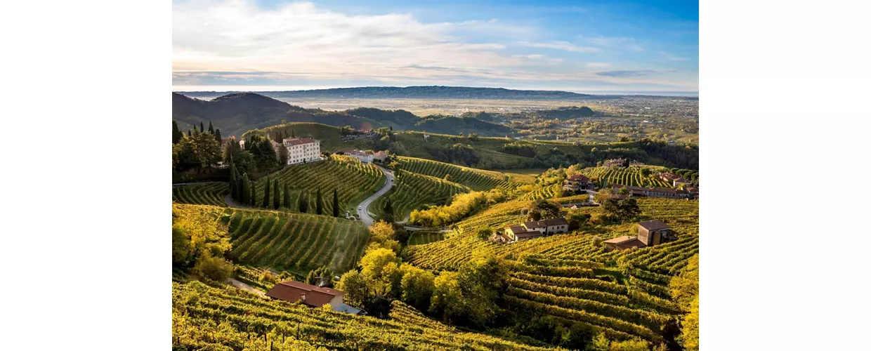 Strada del Prosecco e Vini dei Colli di Conegliano Valdobbiadene