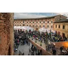 tartufo-bianco-san-miniato