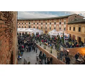 tartufo-bianco-san-miniato