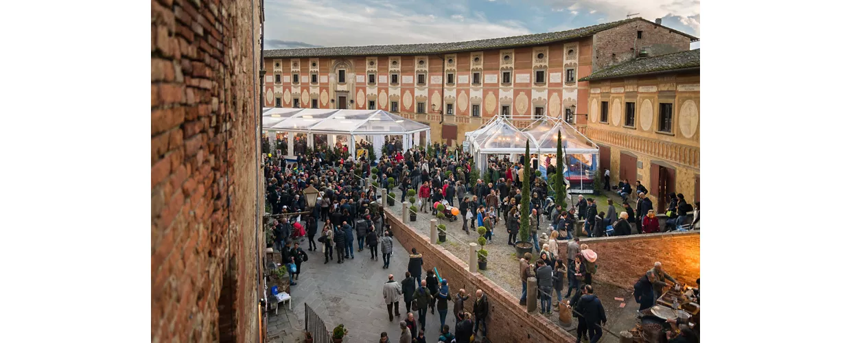 tartufo-bianco-san-miniato