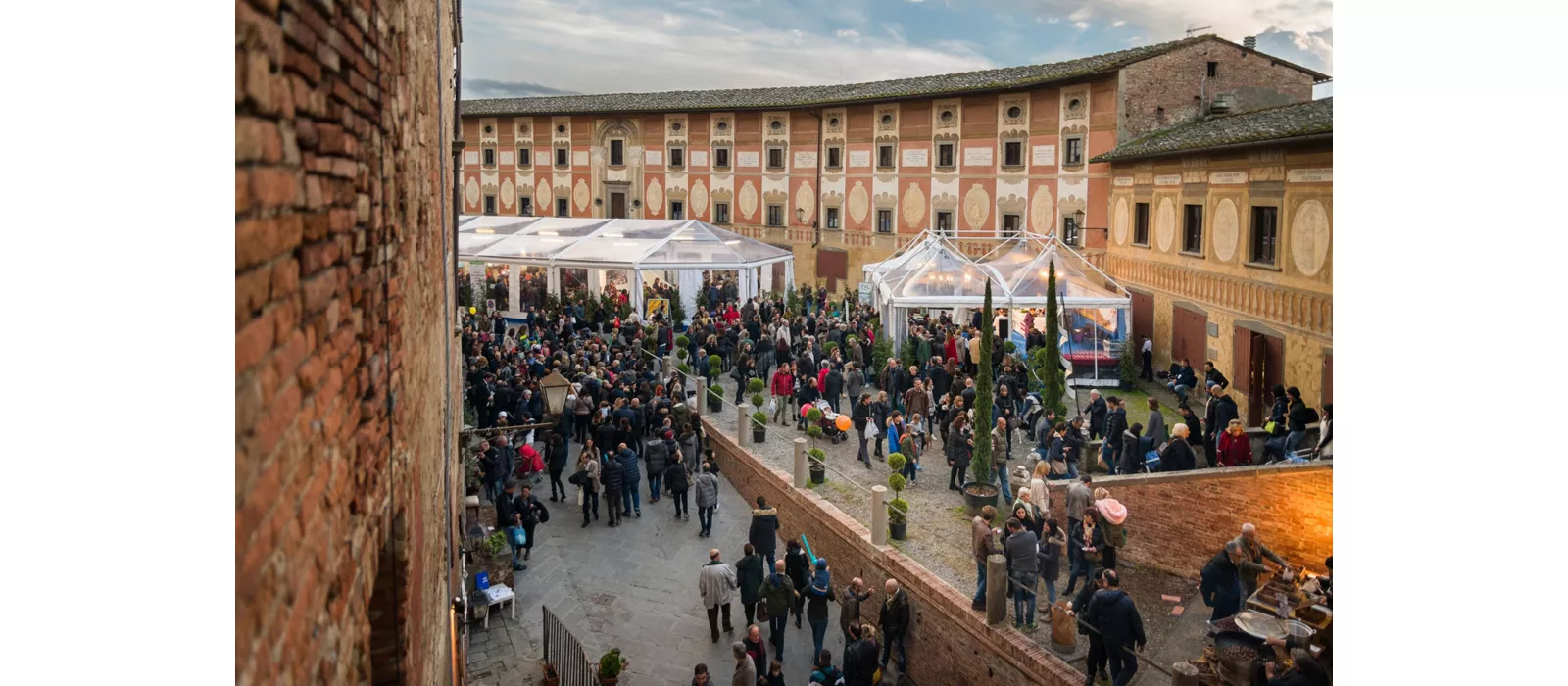 tartufo-bianco-san-miniato