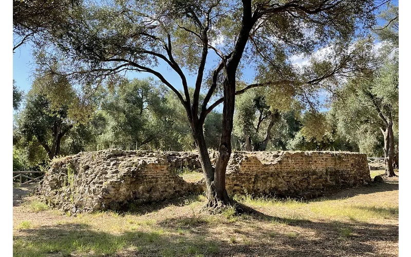 Parco Archeologico Nazionale dei Tauriani