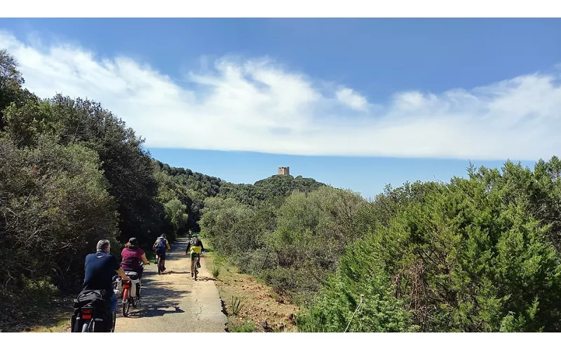 Passeggiate nella natura