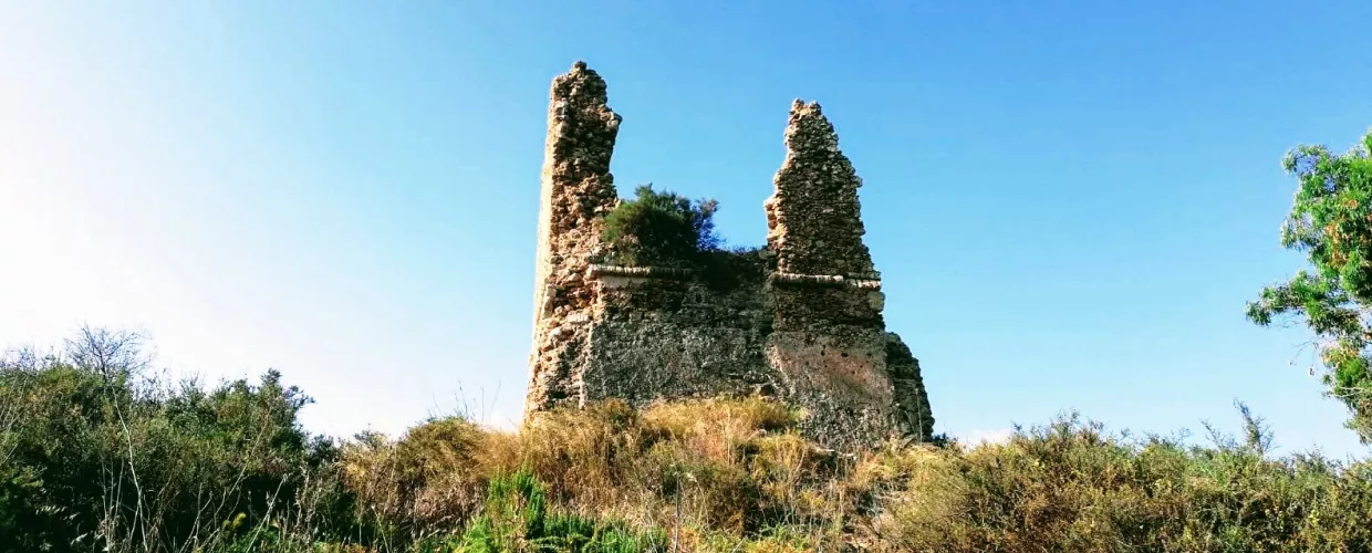 torre_salsa_destination.jpg