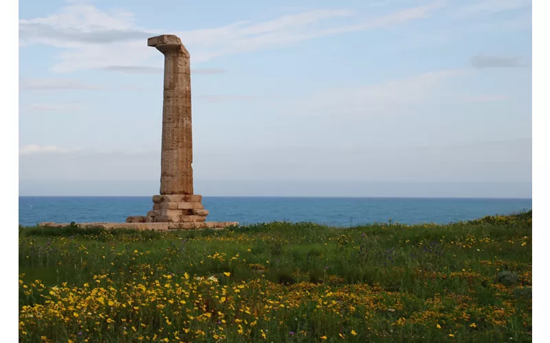 Visita a las bodegas, Isola di Capo Rizzuto y Museo Arqueológico