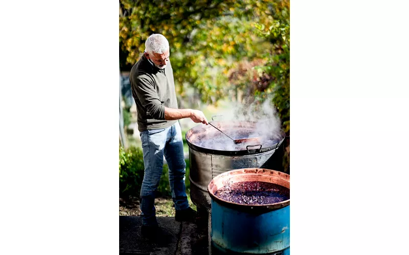 Dal mosto alla bottiglia: fermentazione, invecchiamento e sapori unici