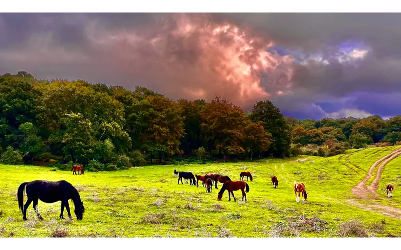 Eine Natur, die man mit dem Pferd erleben kann