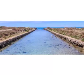 Parco Naturale Regionale Litorale di Ugento