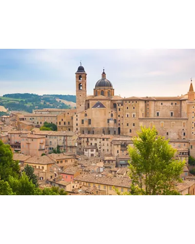 Urbino