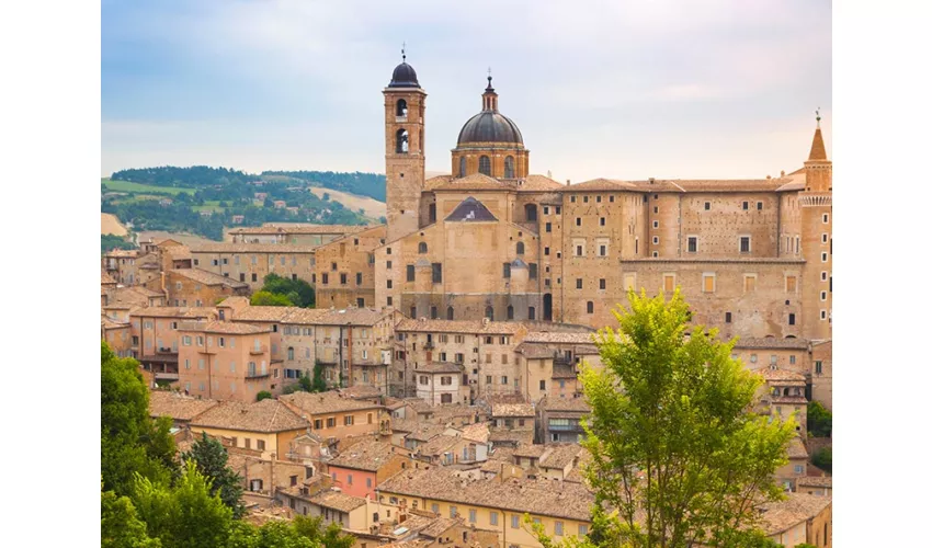 Urbino