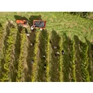 Cover Verdicchio_ph Marika.jpg