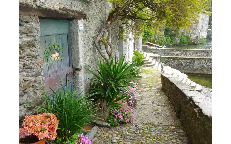 La rinascita della biodiversità