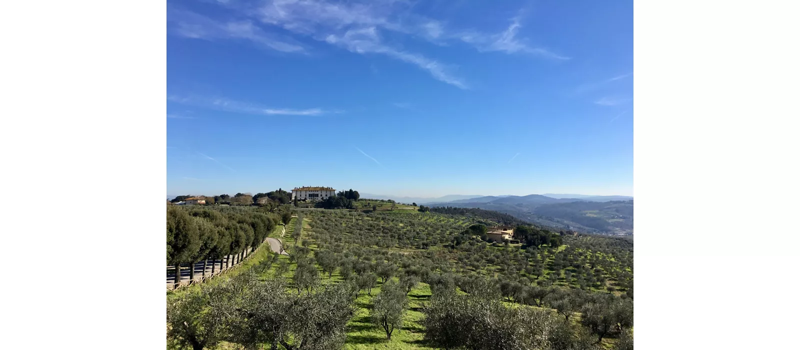 Via Medicea