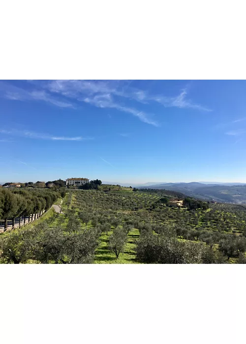 Via Medicea