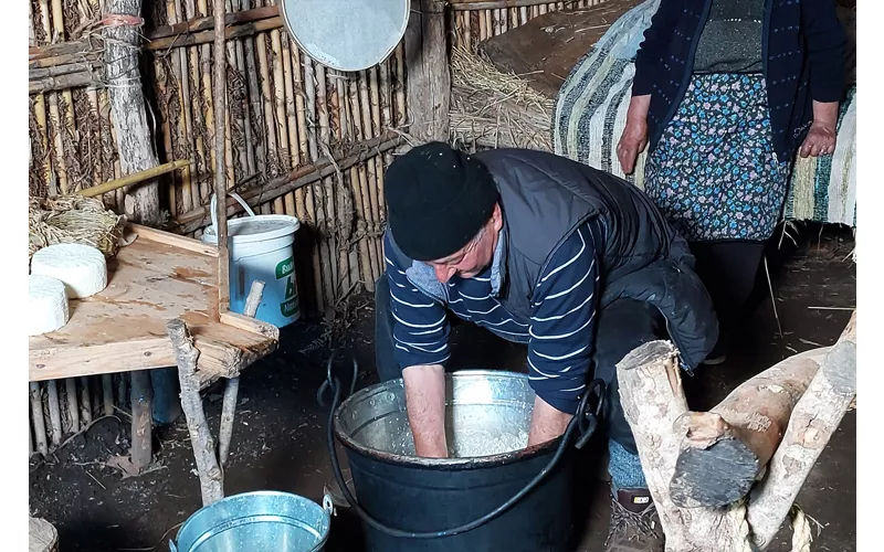 Caseifici a Vibo Valentia