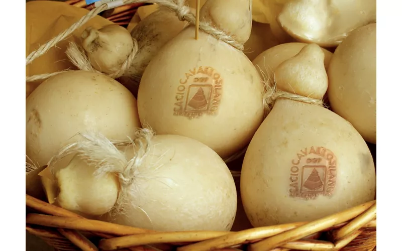 Caseifici a Cosenza e Catanzaro