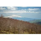 Vista Monte Etna